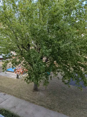 3-Zimmer-Wohnung mieten in Eisenstadt - Umgebung – 88 m², € 980 – Bild 13 von 13