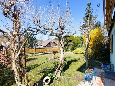 3-Zimmer-Haus kaufen in Mödling – 221 m², € 1.250.000 – Bild 10 von 15