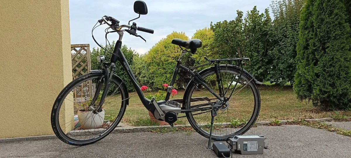 kinderrad ab 3 jahre Owneed Kinderfahrrad 14 Zoll, Kinder Fahrrad für Schulung, Lenker & Sitz Höhenverstellbarer Kinderfahrräder, mit Stützrädern und Duales Bremssystem,für Jungen & Mädchen(Weiß) Sport & Freizeit Histaminarm Farbe:Violet Haze/Brushed Champ (Irische Kartoffelpüree) [CreaTable]