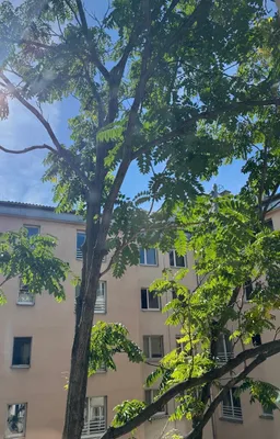 3-Zimmer-Wohnung mieten in Wien – 100 m², € 2.310 – Bild 13 von 15