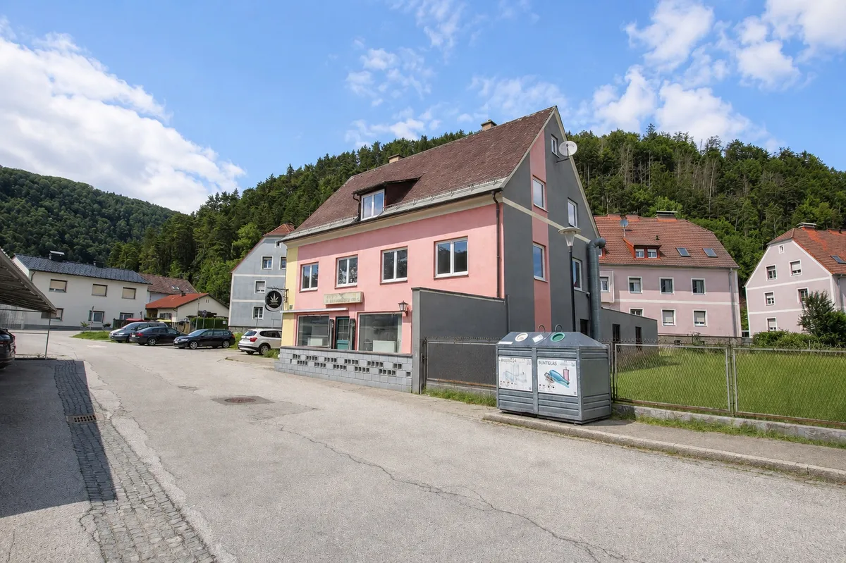 Sanierungsbedürftiges Zinshaus mit großem Potenzial - ideal für Bauträger! - Ansicht 2