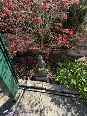 3-Zimmer-Haus kaufen in Bruck an der Leitha – 70 m², € 55.000 – Bild 28 von 41