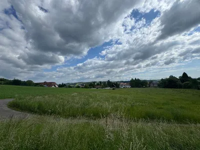 Grundstück kaufen in Südoststeiermark – 9 015 m² – Bild 4 von 25