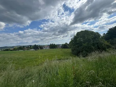 Grundstück kaufen in Südoststeiermark – 9 015 m² – Bild 5 von 25