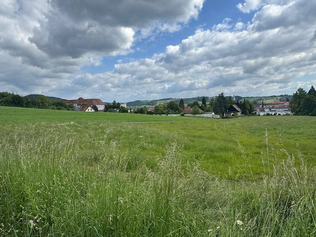 Einzigartiges Grundstück (ca. 9.000 m² davon ca. 7.500 m² Bauland) Feldbach - Nähe Kalvarienberg/LKH, Feldbach