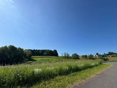 Grundstück kaufen in Südoststeiermark – 9 015 m² – Bild 16 von 25