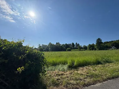 Grundstück kaufen in Südoststeiermark – 9 015 m² – Bild 15 von 25