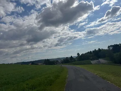 Grundstück kaufen in Südoststeiermark – 9 015 m² – Bild 13 von 25