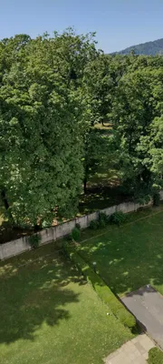 3-Zimmer-Wohnung mieten in Graz – 70 m², € 900 – Bild 10 von 10