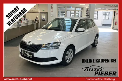 Skoda Fabia 1,0 *Klima, Radio, Tagfahrlicht*