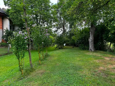 Gewerbeimmobilie kaufen in Wels-Land – 233 m², € 445.000 – Bild 22 von 22