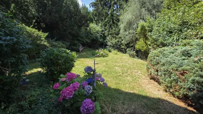 Haus kaufen in Graz – 264 m² – Bild 17 von 36