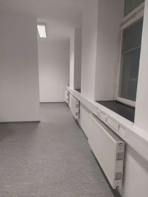 Gewerbeimmobilie mieten in Wien – 39 m², € 339 – Bild 2 von 6