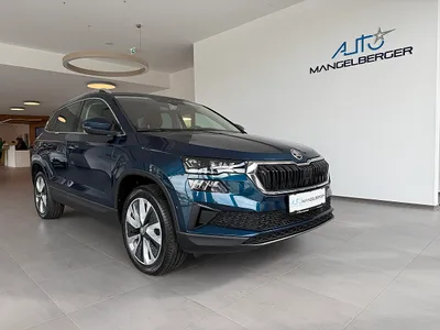 Skoda Karoq 2,0 TDI Style AHK ACC