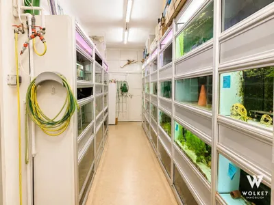 11-Zimmer-Haus kaufen in Wien – 287,23 m², € 1.290.000 – Bild 12 von 24