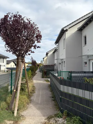 4-Zimmer-Haus mieten in Baden – 99 m², € 1.649 – Bild 3 von 40