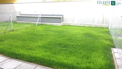 2-Zimmer-Wohnung mieten in Baden – 57,51 m², € 1.096 – Bild 2 von 13