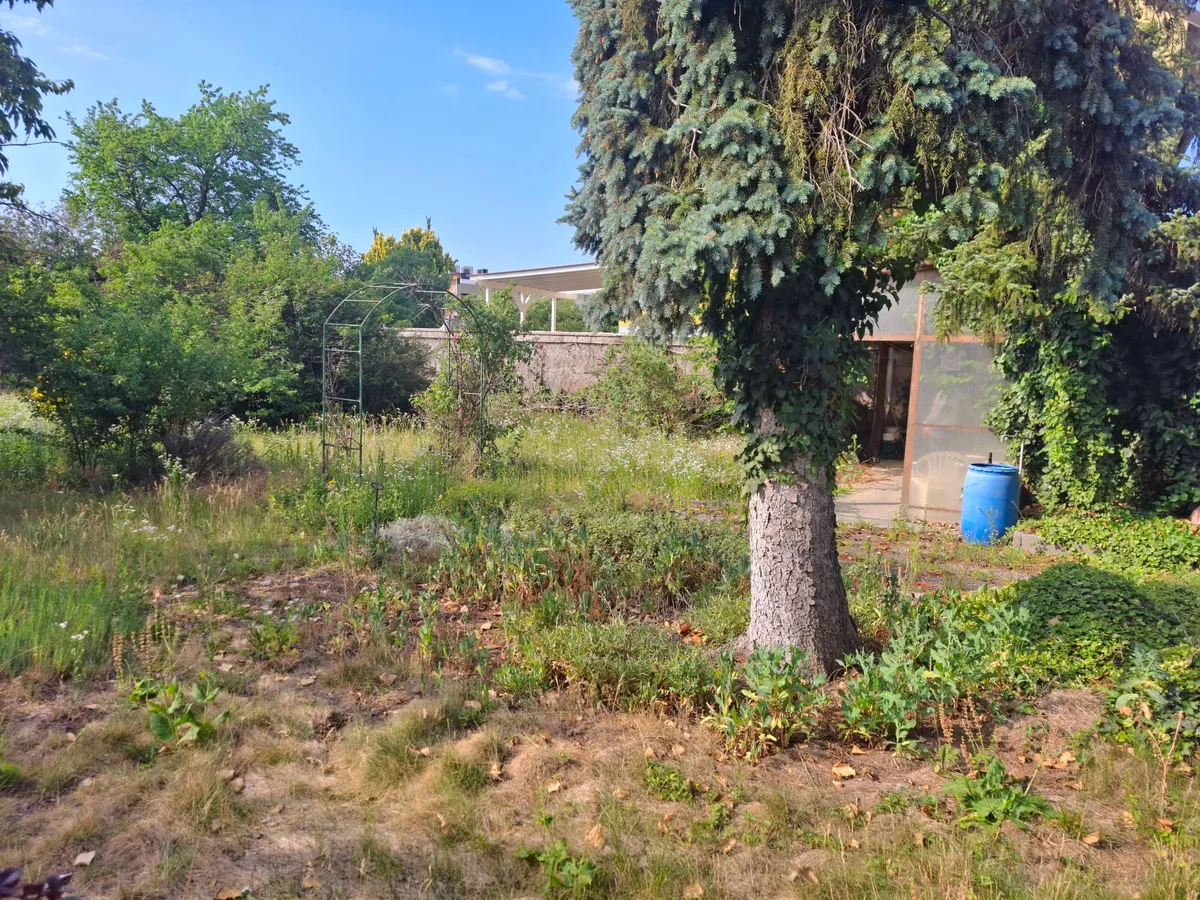 Wiener Neustadt - 682qm Baugrund mit Altbestand ! – pohled 3