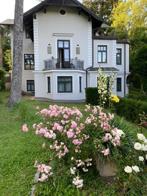 Wohnung zur Miete in 1180 Wien