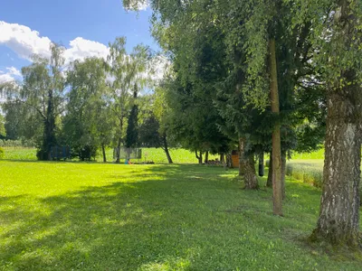 1-Zimmer-Wohnung kaufen in Linz Land – 37 m², € 160.000 – Bild 14 von 17