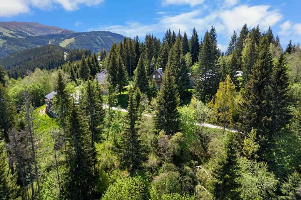 Ferien auf der Koralpe in Kärnten - Ihr Grundstück dazu! - Ansicht 2