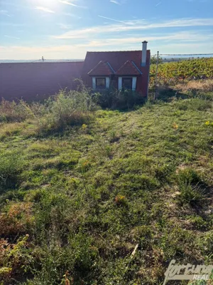 Grundstück kaufen in Hollabrunn – 68 m², € 59.000 – Bild 3 von 11