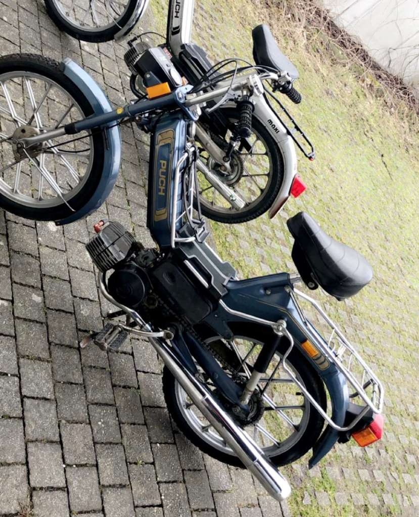 Puch Maxi Moped Mofa Willhaben