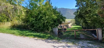 Grundstück kaufen in Neunkirchen – 1 602 m², € 225.000 – Bild 3 von 5