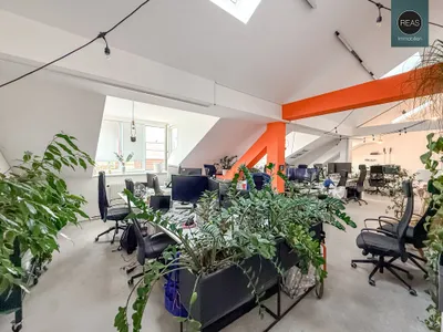 3-Zimmer-Gewerbeimmobilie mieten in Wien – 192 m², € 16 – Bild 5 von 31