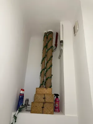 2-Zimmer-Wohnung mieten in Wien – 53 m², € 596 – Bild 10 von 23
