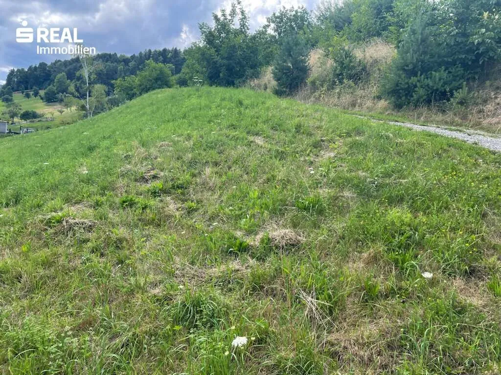 Mein leistbares Grundstück in sonniger Ruhelage und ländlicher Umgebung - Ansicht 2