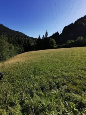 Grundstück kaufen in Bruck-Mürzzuschlag – 218 540 m², € 1.000.000 – Bild 9 von 21