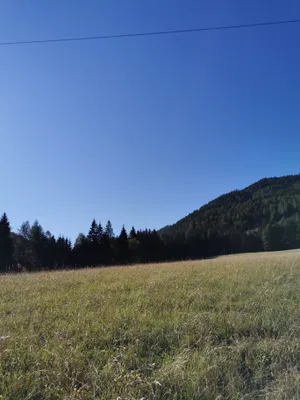 Grundstück kaufen in Bruck-Mürzzuschlag – 218 540 m², € 1.000.000 – Bild 7 von 21