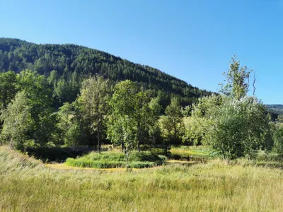 Grundstück kaufen in Bruck-Mürzzuschlag – 218 540 m², € 1.000.000 – Bild 4 von 21
