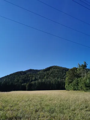 Grundstück kaufen in Bruck-Mürzzuschlag – 218 540 m², € 1.000.000 – Bild 15 von 21