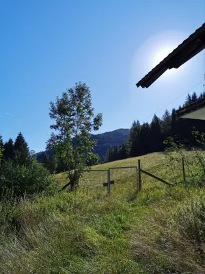 Grundstück kaufen in Bruck-Mürzzuschlag – 218 540 m², € 1.000.000 – Bild 5 von 21