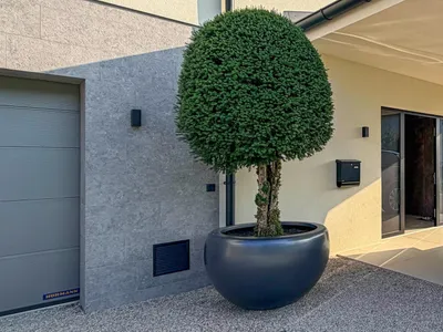 7-Zimmer-Immobilie kaufen in Gmunden – 270 m² – Bild 5 von 5