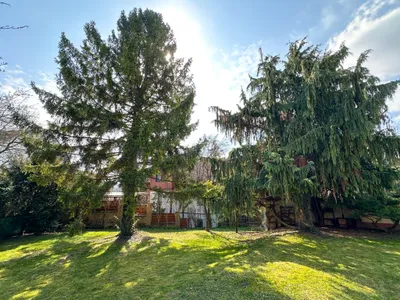 Haus kaufen in Wien – 150 m², € 695.000 – Bild 3 von 21