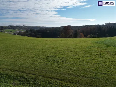 Grundstück kaufen in Deutschlandsberg – 4 822 m², € 980.000 – Bild 11 von 27