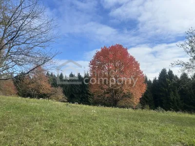 2-Zimmer-Immobilie kaufen in Jennersdorf – 90 m², € 210.000 – Bild 11 von 21