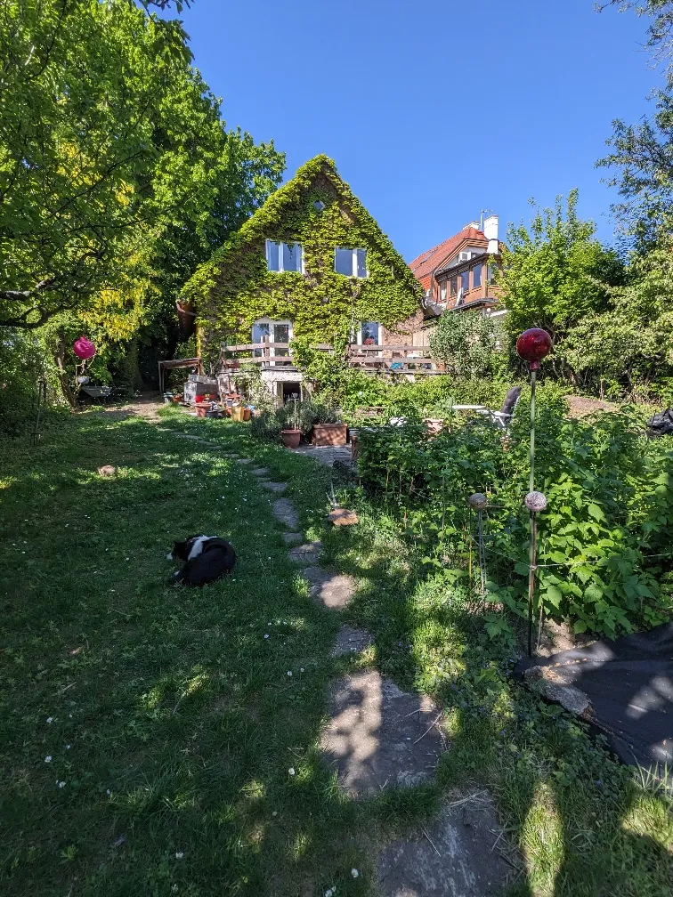 Schönes Baugrundstück mit gepflegtem Bestand - Ansicht 2