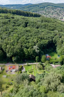 Grundstück kaufen in Wien – 2 434 m², € 595.000 – Bild 5 von 8