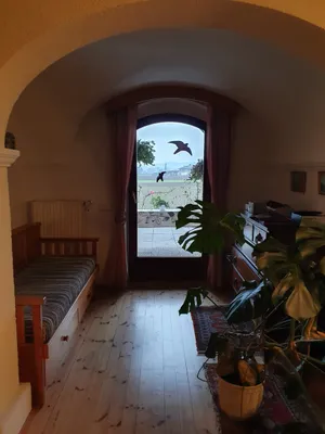 5-Zimmer-Haus mieten in Graz-Umgebung – 140 m², € 1.200 – Bild 8 von 30