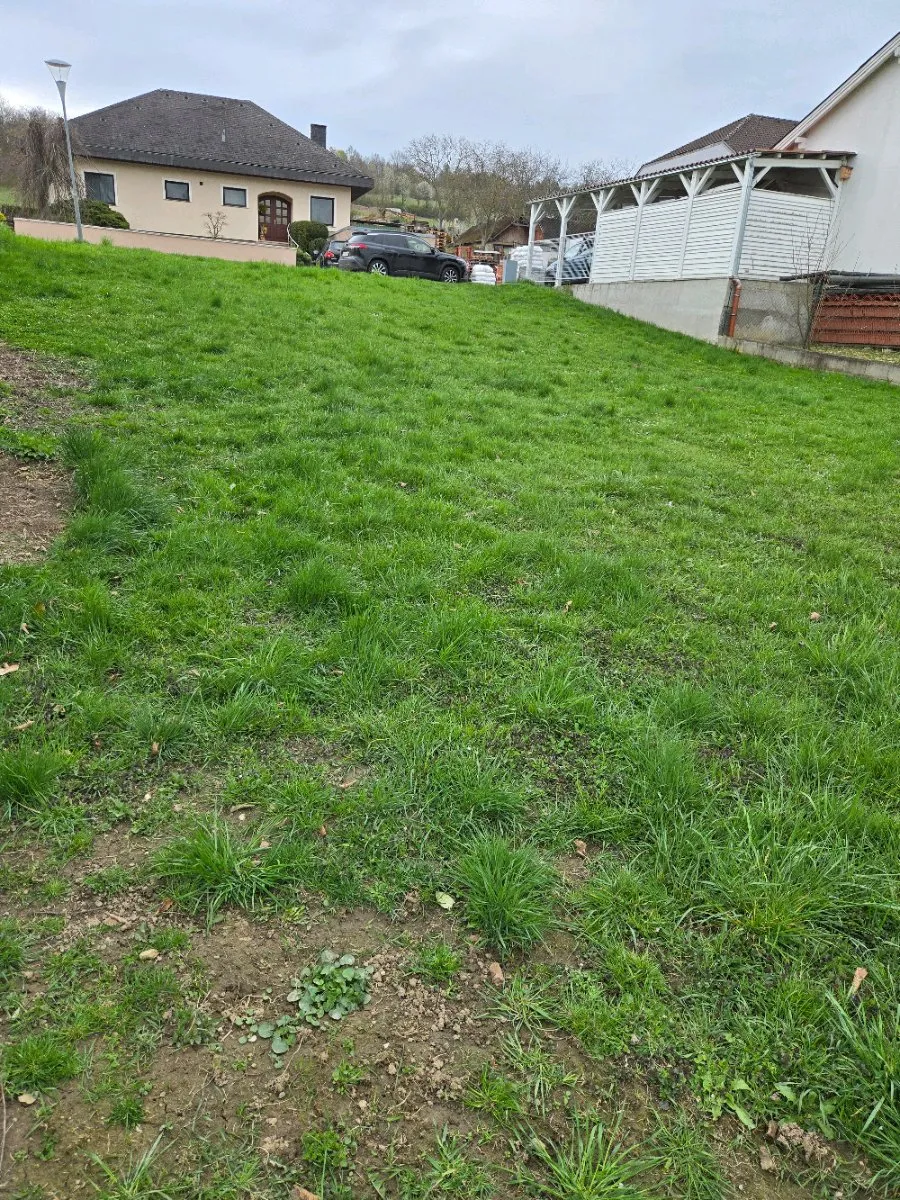Garten zu verpachten – pohled 3
