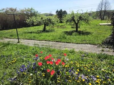 4-Zimmer-Wohnung mieten in Hartberg-Fürstenfeld – 90 m², € 1.081 – Bild 34 von 34