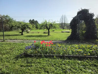 4-Zimmer-Wohnung mieten in Hartberg-Fürstenfeld – 90 m², € 1.081 – Bild 4 von 34