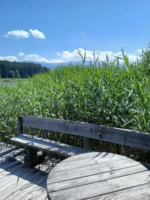1-Zimmer-Wohnung kaufen in Murau – 26 m², € 265.000 – Bild 16 von 31