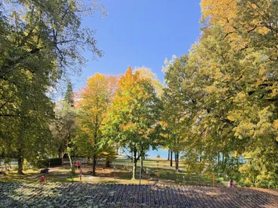 3-Zimmer-Wohnung kaufen in Vöcklabruck – 75,9 m², € 875.000 – Bild 4 von 7