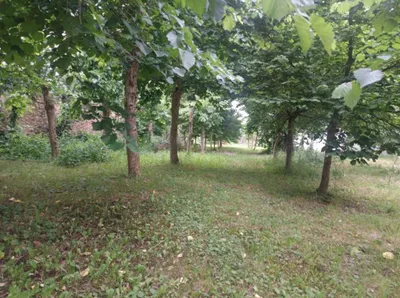Grundstück kaufen in Bruck an der Leitha – 1 200 m², € 470.000 – Bild 1 von 3