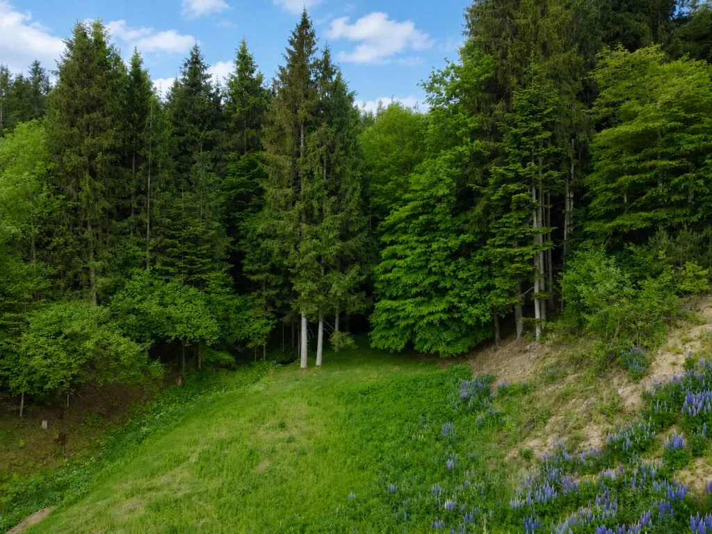 TRAUMHAFTES BAUGRUNDSTÜCK IN RUHELAGE & SEENÄHE - 2.069 M² FÜR IHR EIGENHEIM! - Ansicht 3